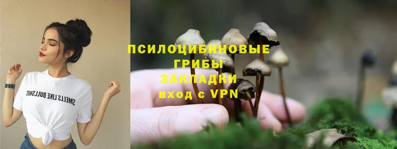 Галлюциногенные грибы Psilocybine cubensis Мамоново